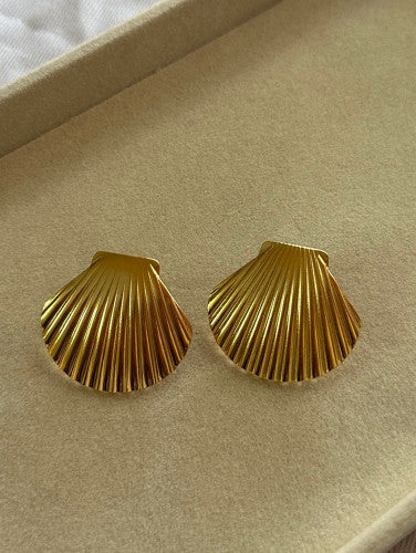 Shell earrings