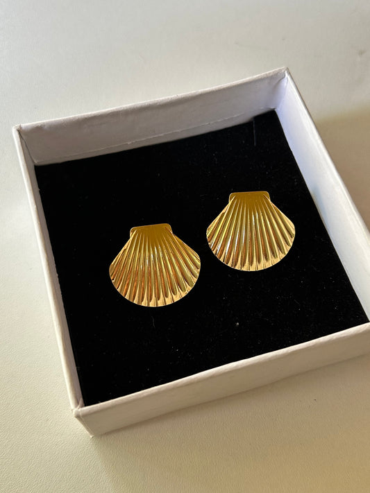 Shell earrings